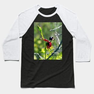 The Flying Duck Orchid Baseball T-Shirt